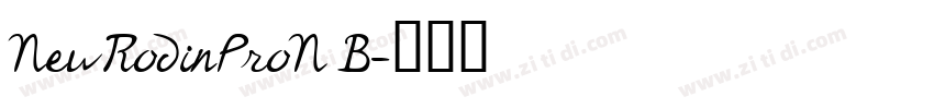 NewRodinProN B字体转换